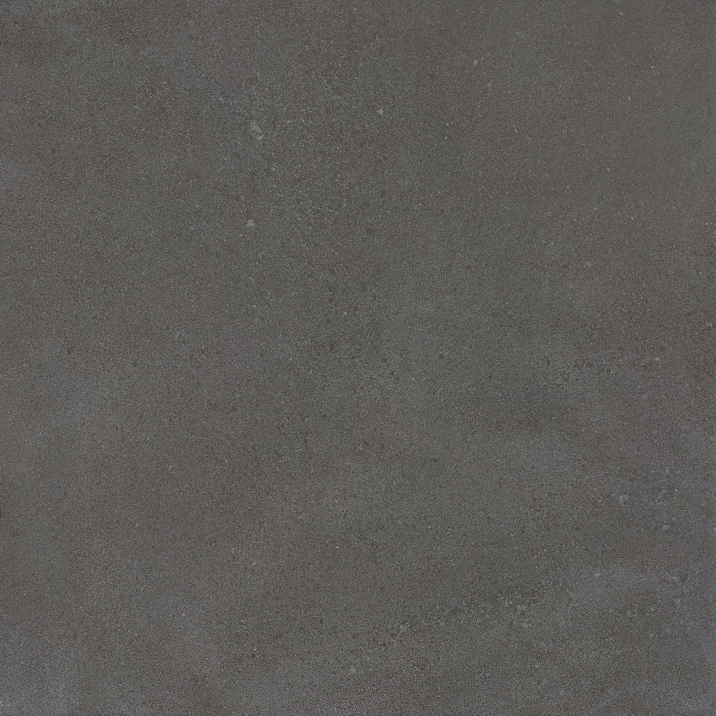 Limestone Dark grey 600x600 Matt