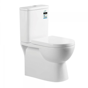 MOI Rimless FTW Toilet Suite