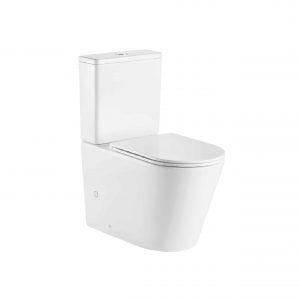 Pani Rimless Toilet Suite