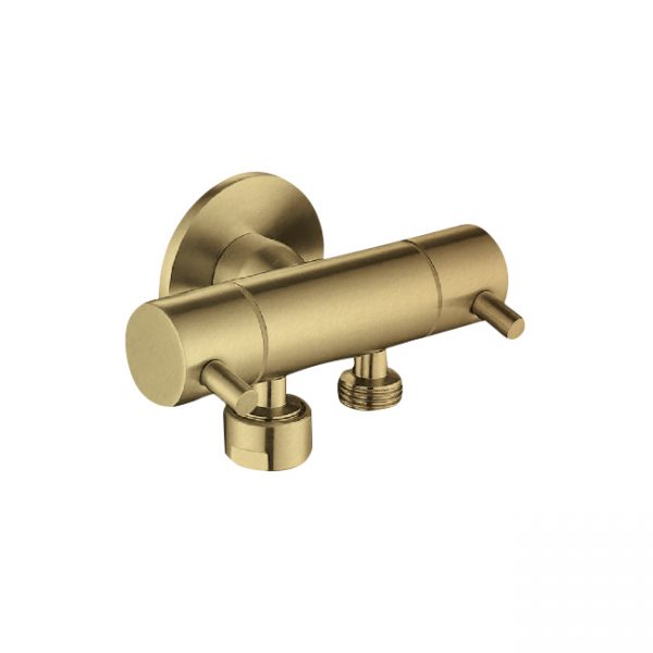 DUAL CONTROL MINI CISTERN COCK BRUSHED GOLD