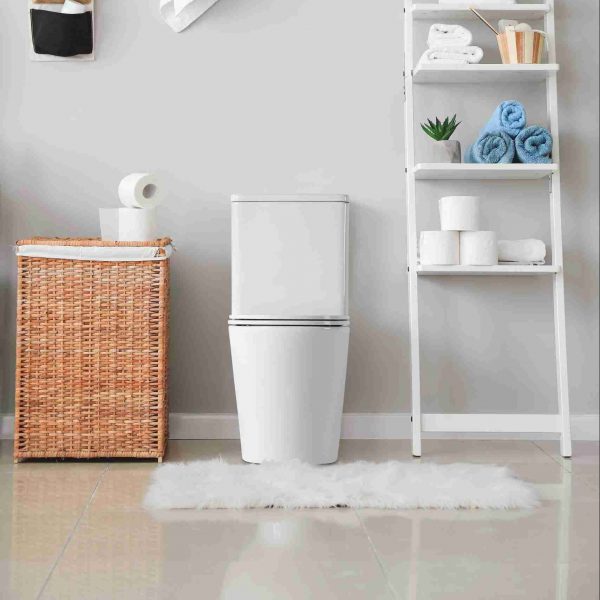 Berlin Tornado Rimless Back To Wall Toilet Suite - Image 3