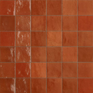 ZELLIGE CORALLO 100x100 GLOSS