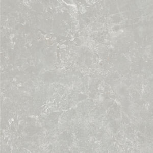 POMPEII STONE Grey 600x600 Matt P3