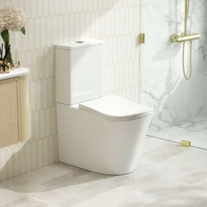 FIFA Comfort Back-to-Wall Toilet Suite
