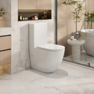 Norton Tornado Rimless Back To Wall Toilet Suite
